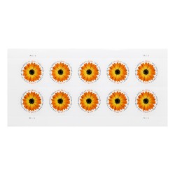 2022 US Global African Daisy Forever Stamps