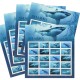 2017 U.S. Postal Issue Sharks Forever Stamps